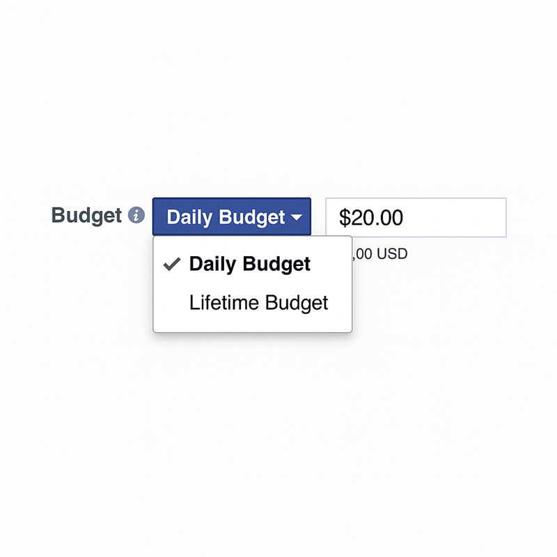 Ngân sách hàng ngày (Daily Budget)
